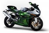 2007 Benelli Tornado Tre 1130 photo